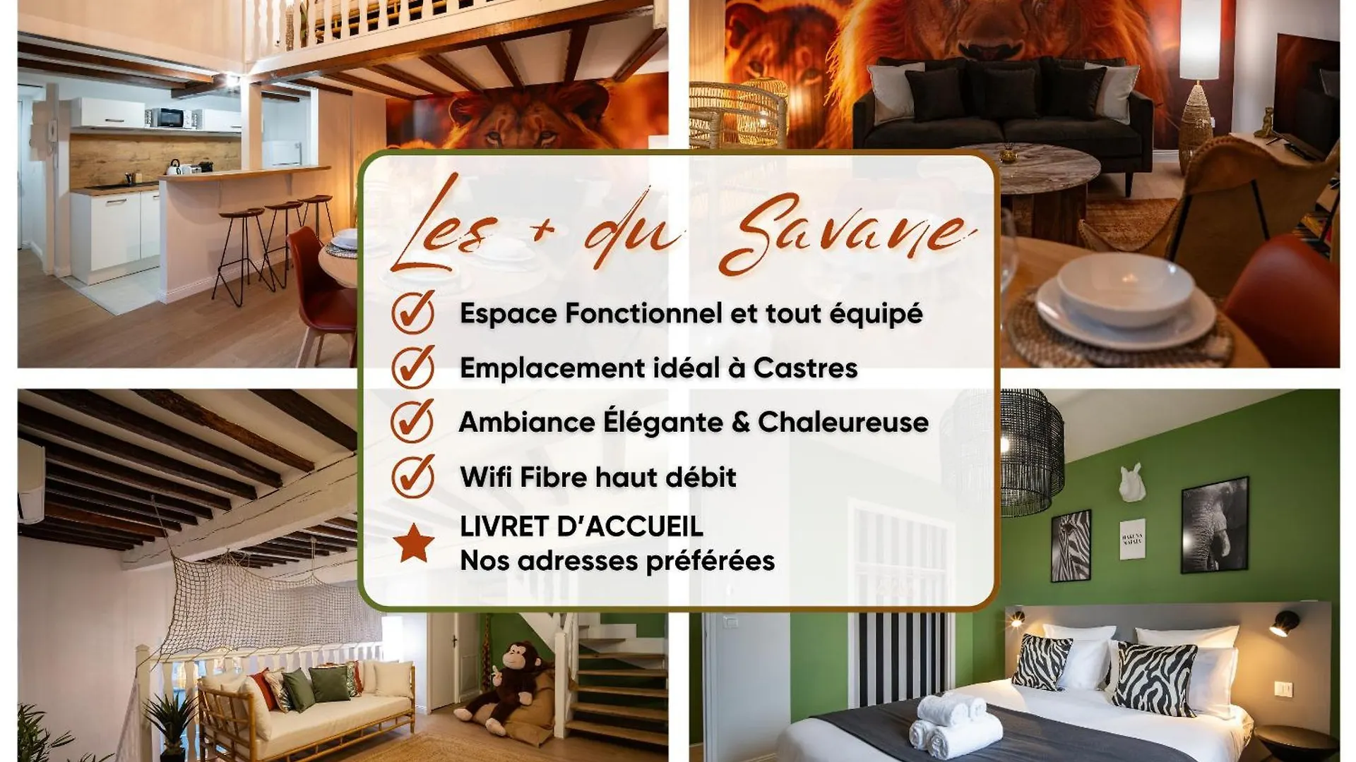 Apartamento Le Savane - Grand Triplex Climatise, 2 Salons Castres