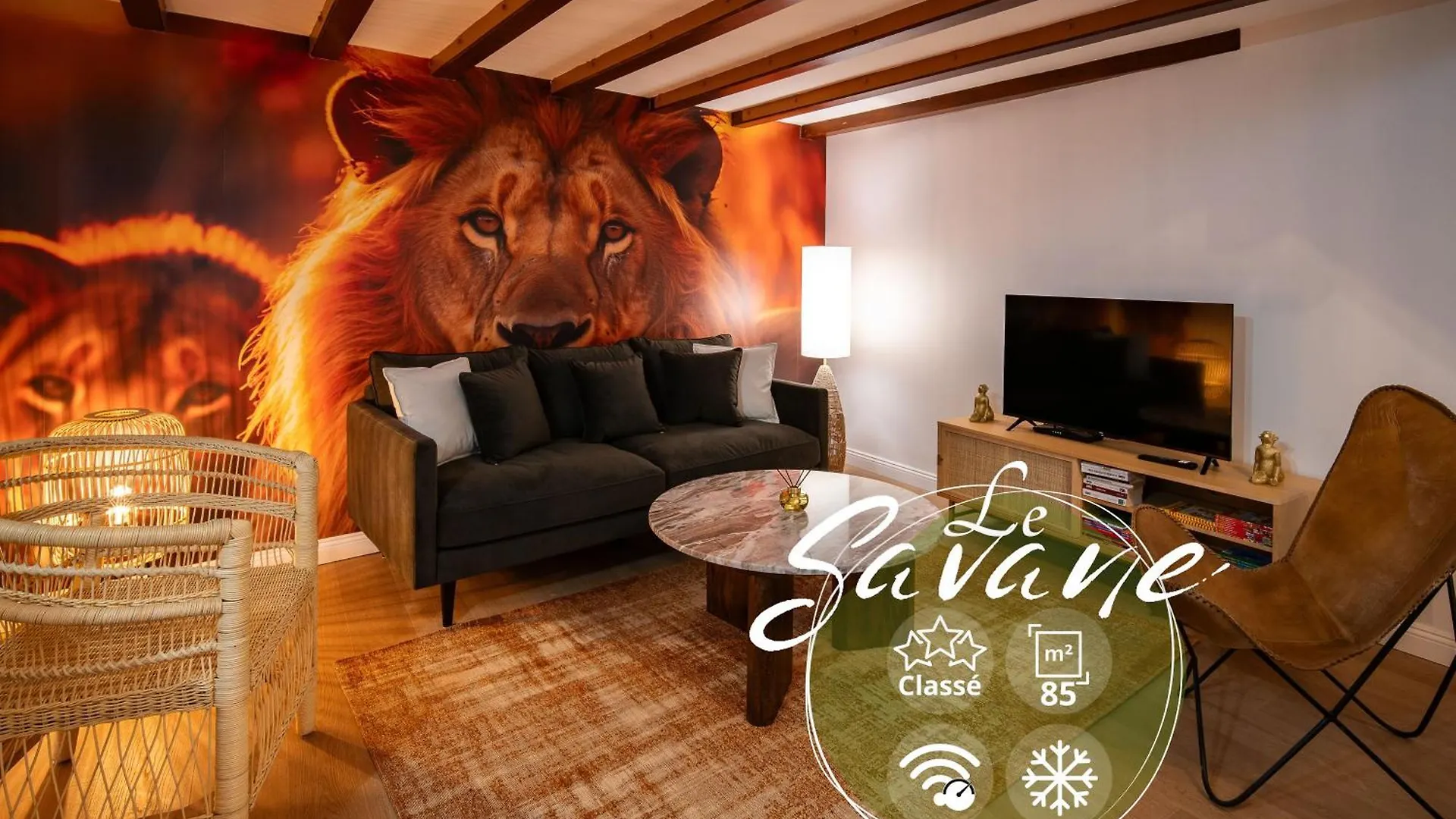 Le Savane - Grand Triplex Climatise, 2 Salons Castres